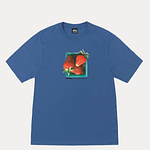 stussy-tee