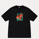 stussy-tee